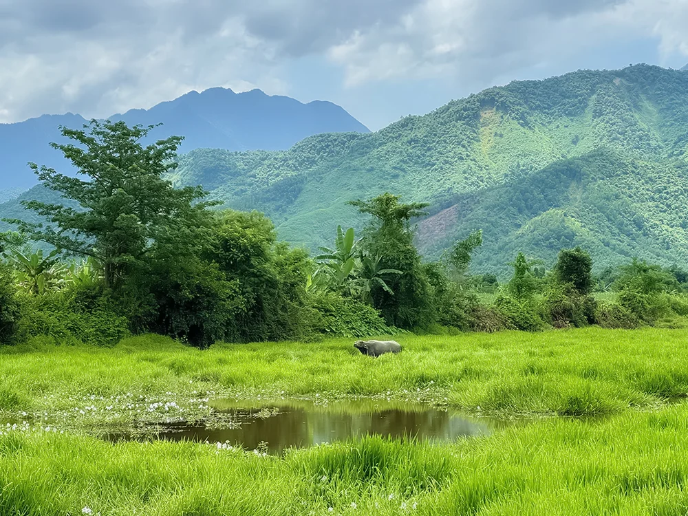 Da Nang Countryside Bike Tour